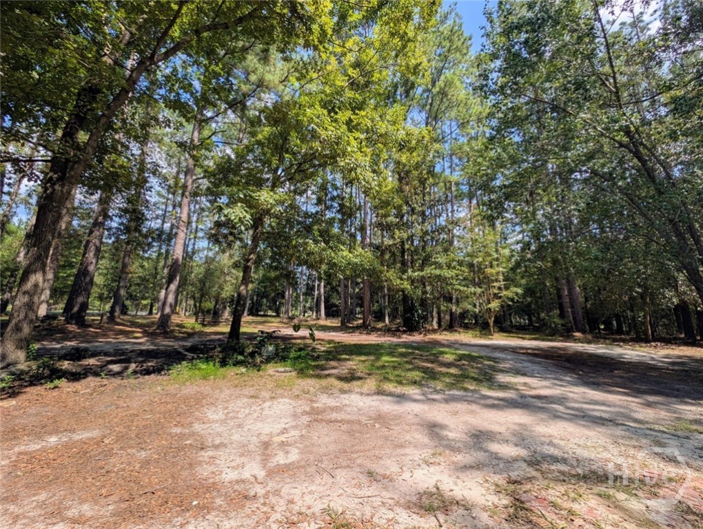 399 Reiser Road Springfield, GA 31329 - Photo 29 of 36 Gallery Image 29