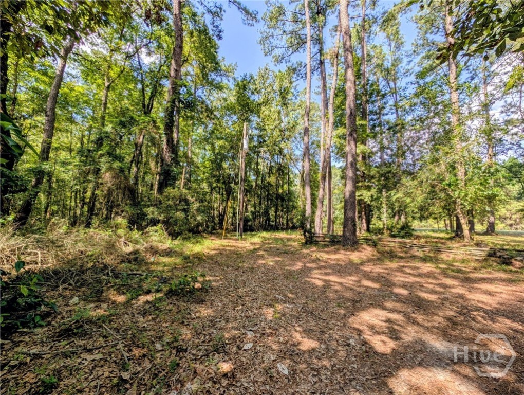 399 Reiser Road Springfield, GA 31329 - Photo 6 of 36 Gallery Image 6
