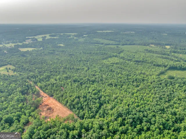 a view of a field with an ocean