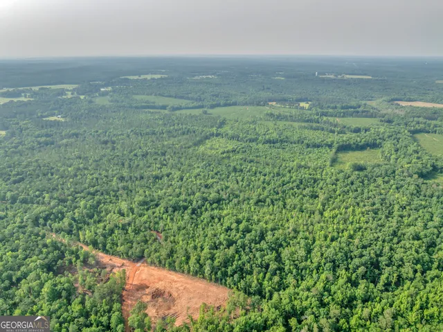 a view of a yard with an outdoor space