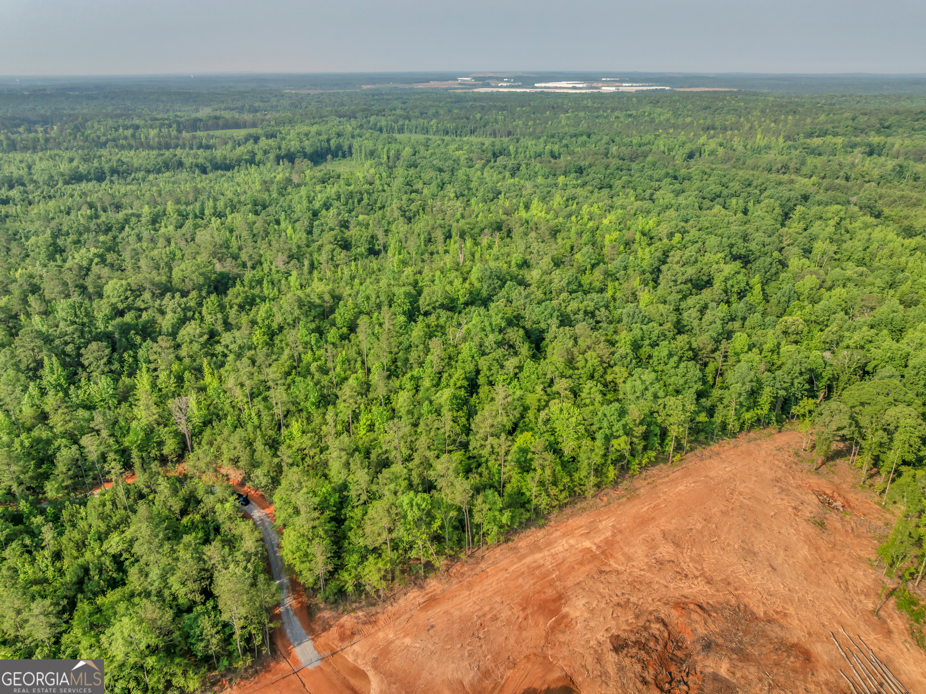 0 County Line Road Jenkinsburg, GA 30234 - Photo 14 of 24 a view of a yard with an outdoor space