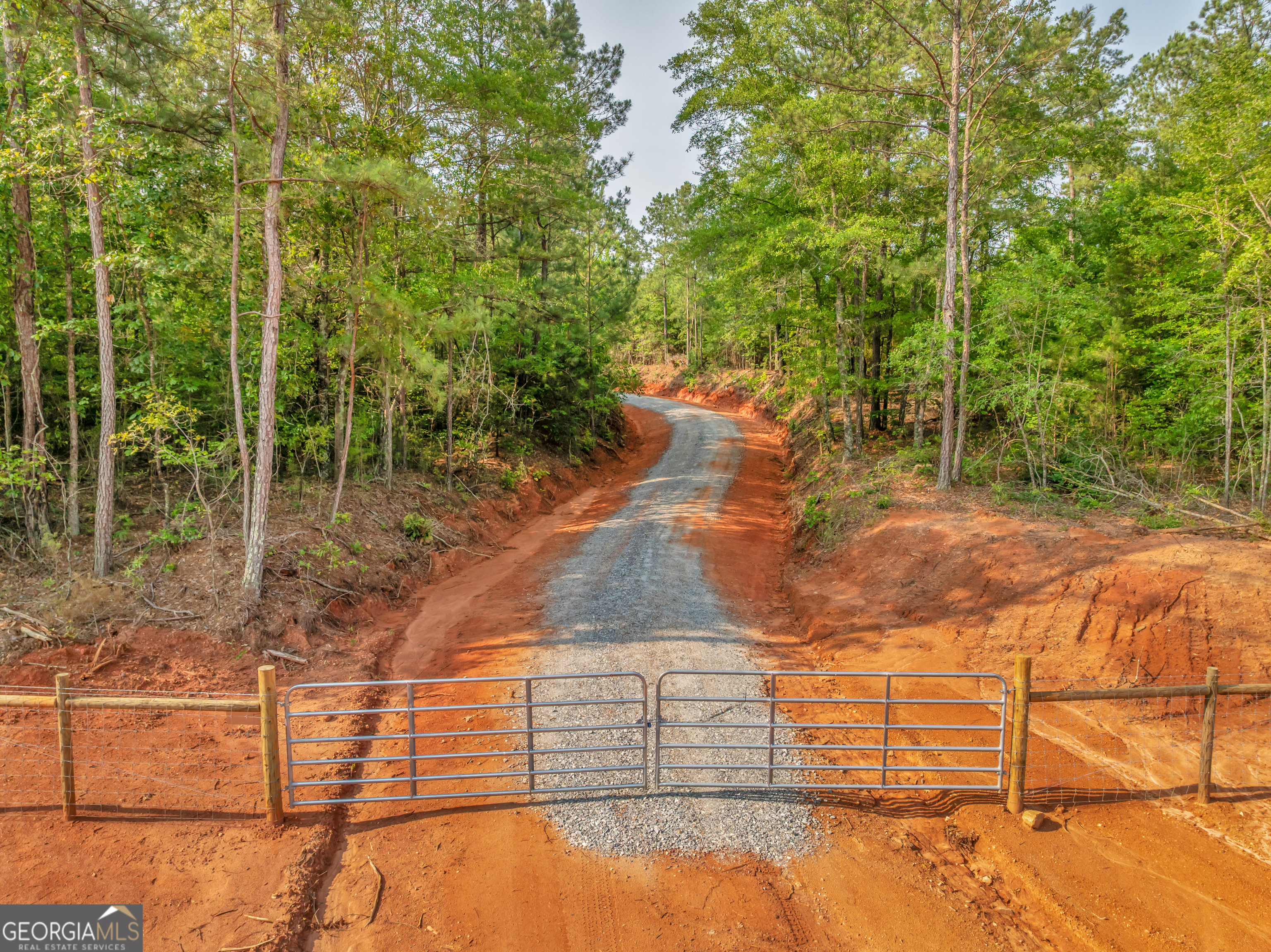 0 County Line Road Jenkinsburg, GA 30234 - Photo 15 of 24 a view of a backyard