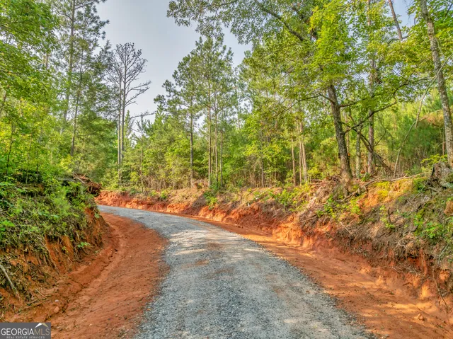 a view of a yard with plants and trees