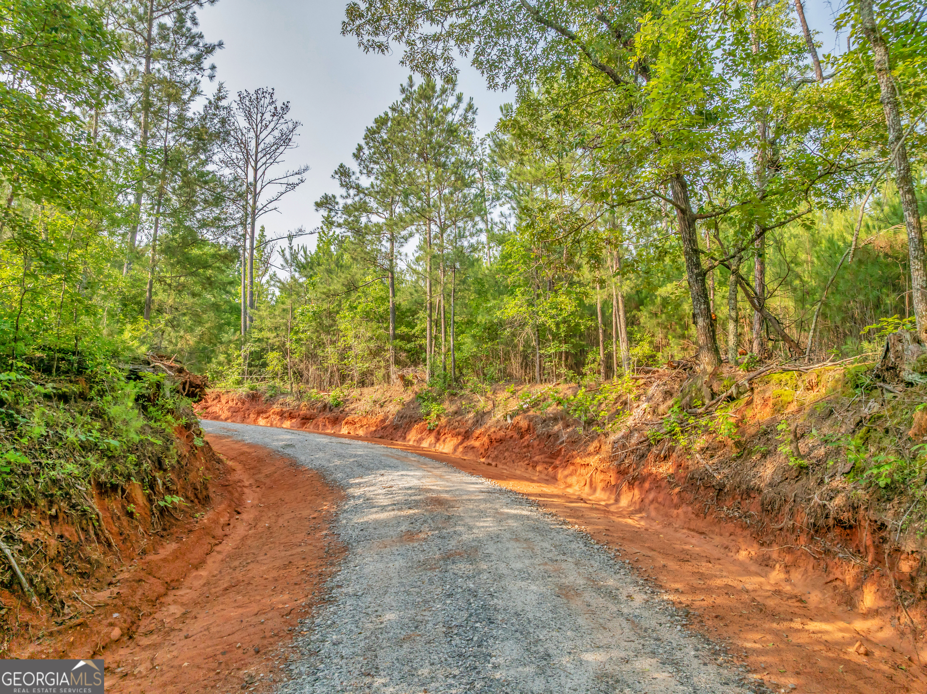 0 County Line Road Jenkinsburg, GA 30234 - Photo 16 of 24 a view of yard