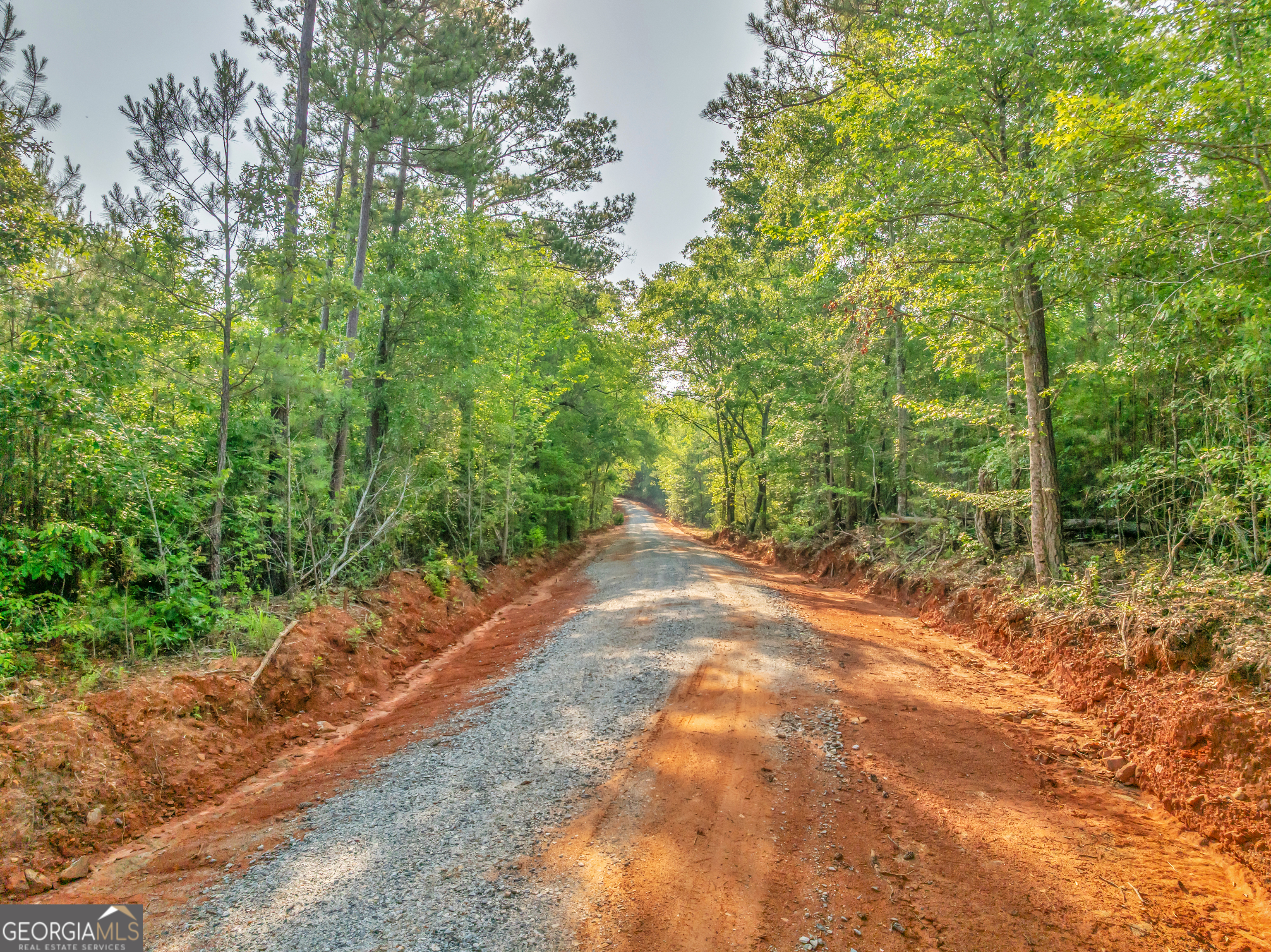 0 County Line Road Jenkinsburg, GA 30234 - Photo 17 of 24 a view of a yard with plants and trees