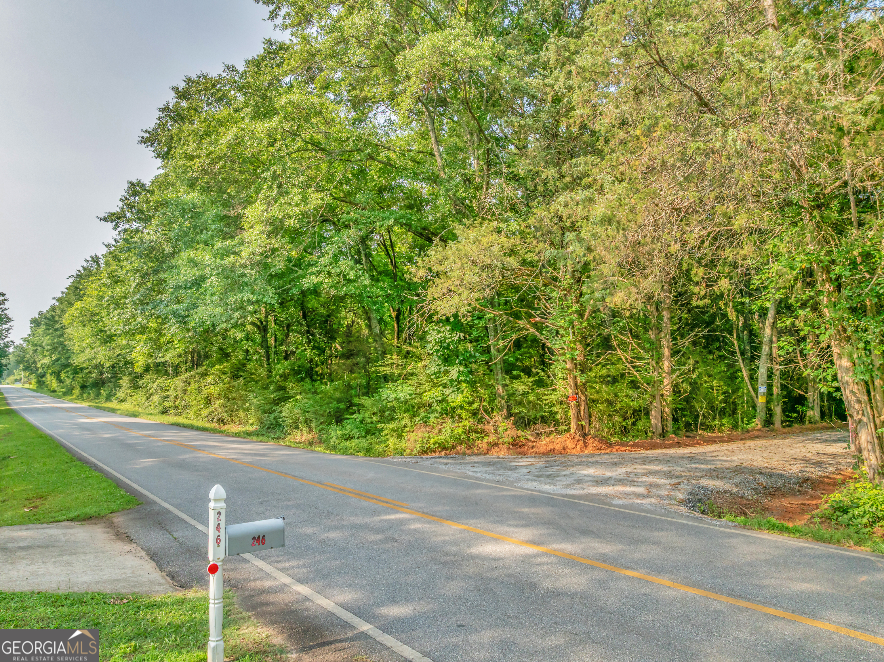 0 County Line Road Jenkinsburg, GA 30234 - Photo 21 of 24 a view of a yard with potted plants