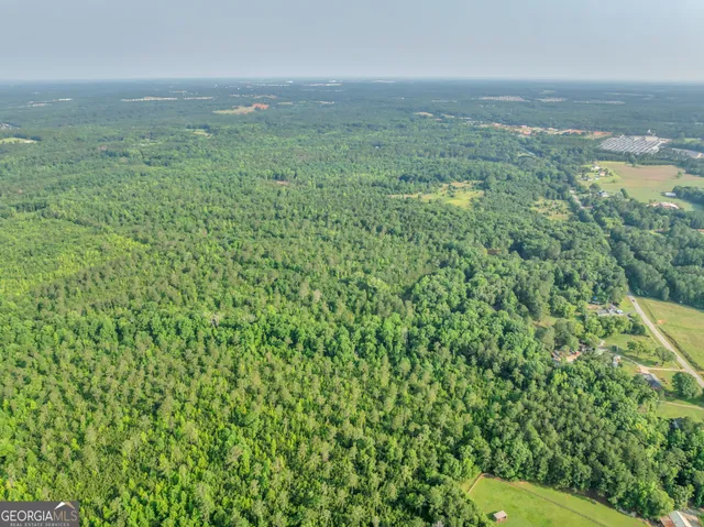 a view of a big yard with plants and large trees
