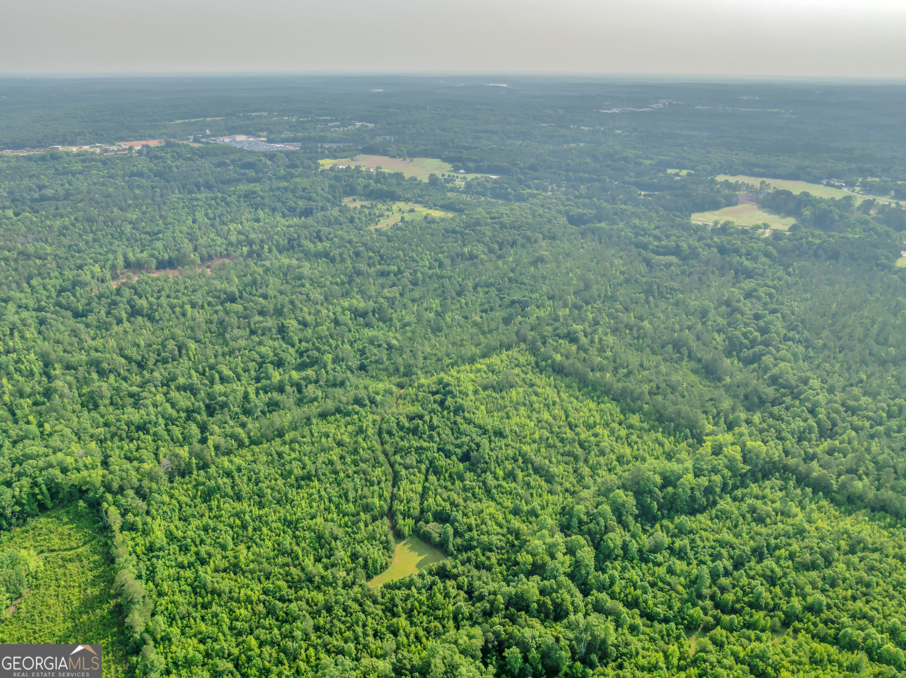 0 County Line Road Jenkinsburg, GA 30234 - Photo 10 of 24 a view of a big yard with plants and large trees