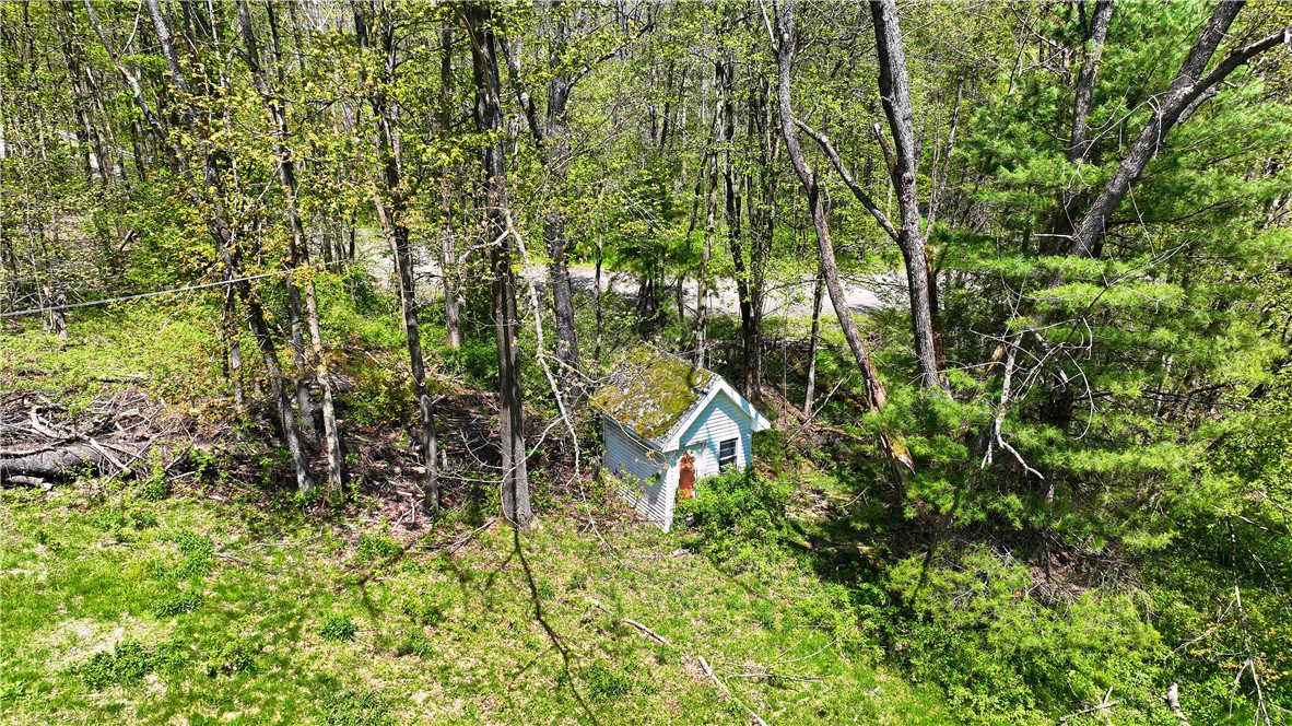 480 Buckley Hill Road Coventry, NY 13730 - Photo 34 of 39