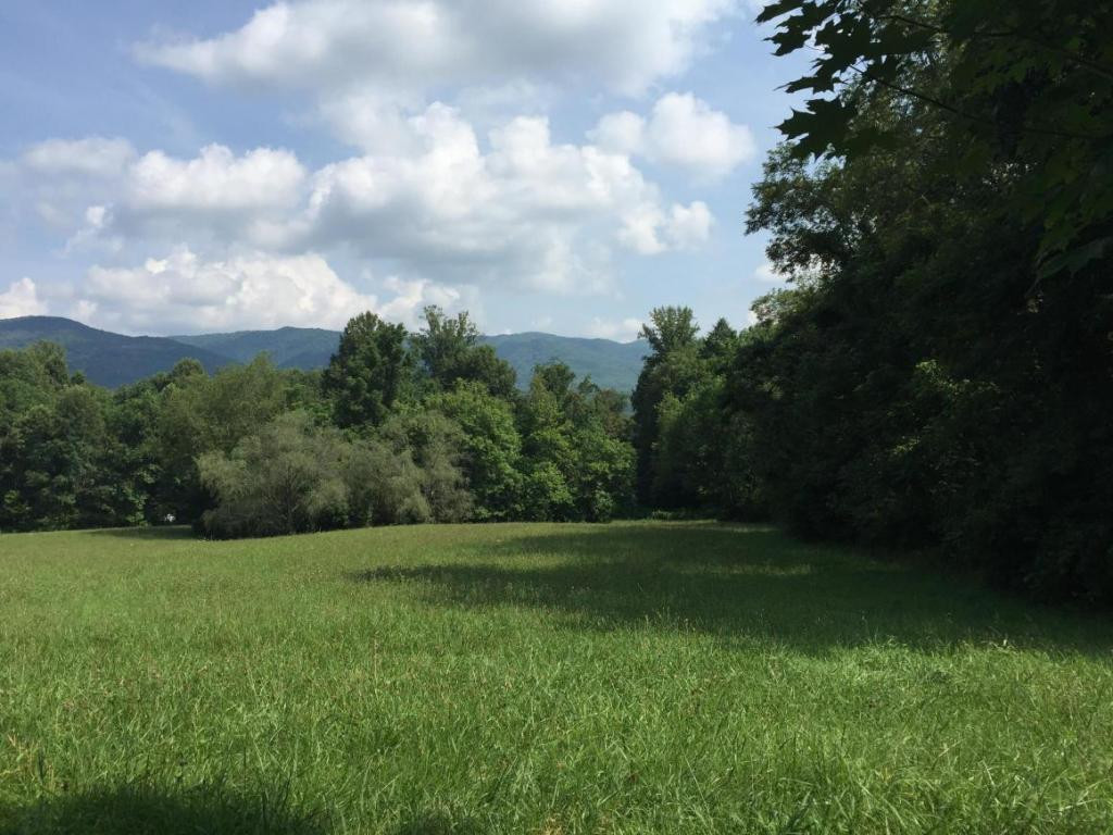 154 Clyde White Road Elizabethton, TN 37643 - Photo 5 of 18 Photo 5