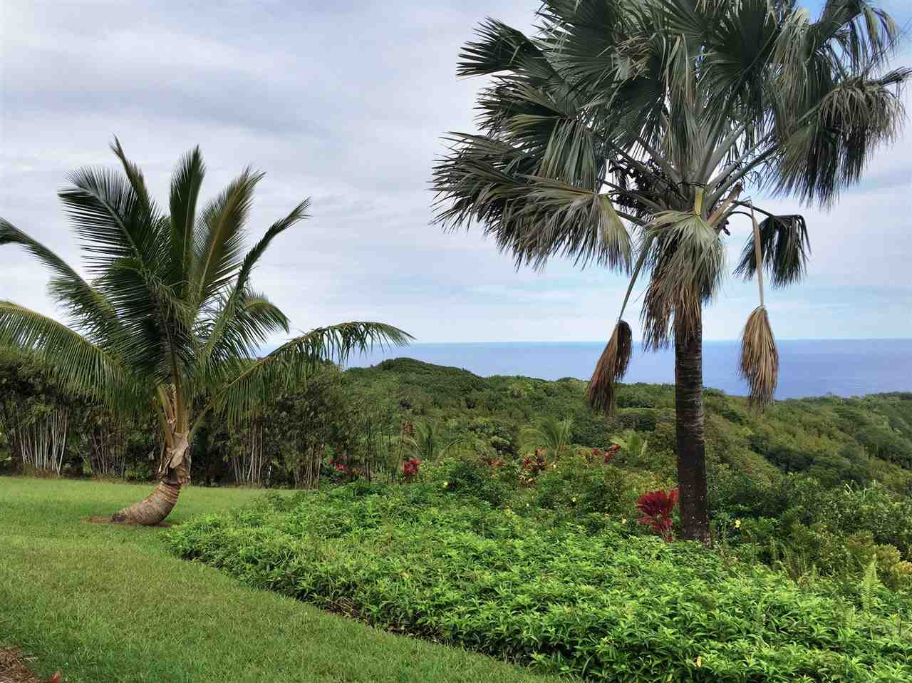 300 Hanauana Road Haiku, HI 96708 - Photo 24 of 30 a palm tree sitting in a yard with potted plants