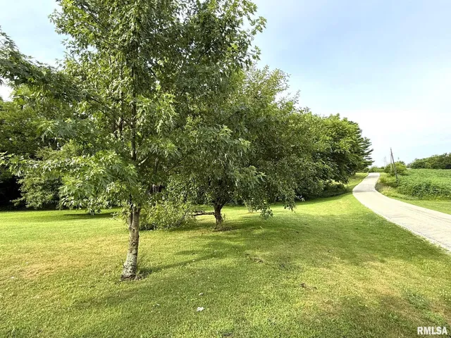 $10,000 | 101 South Station Street, Altona, IL 61414