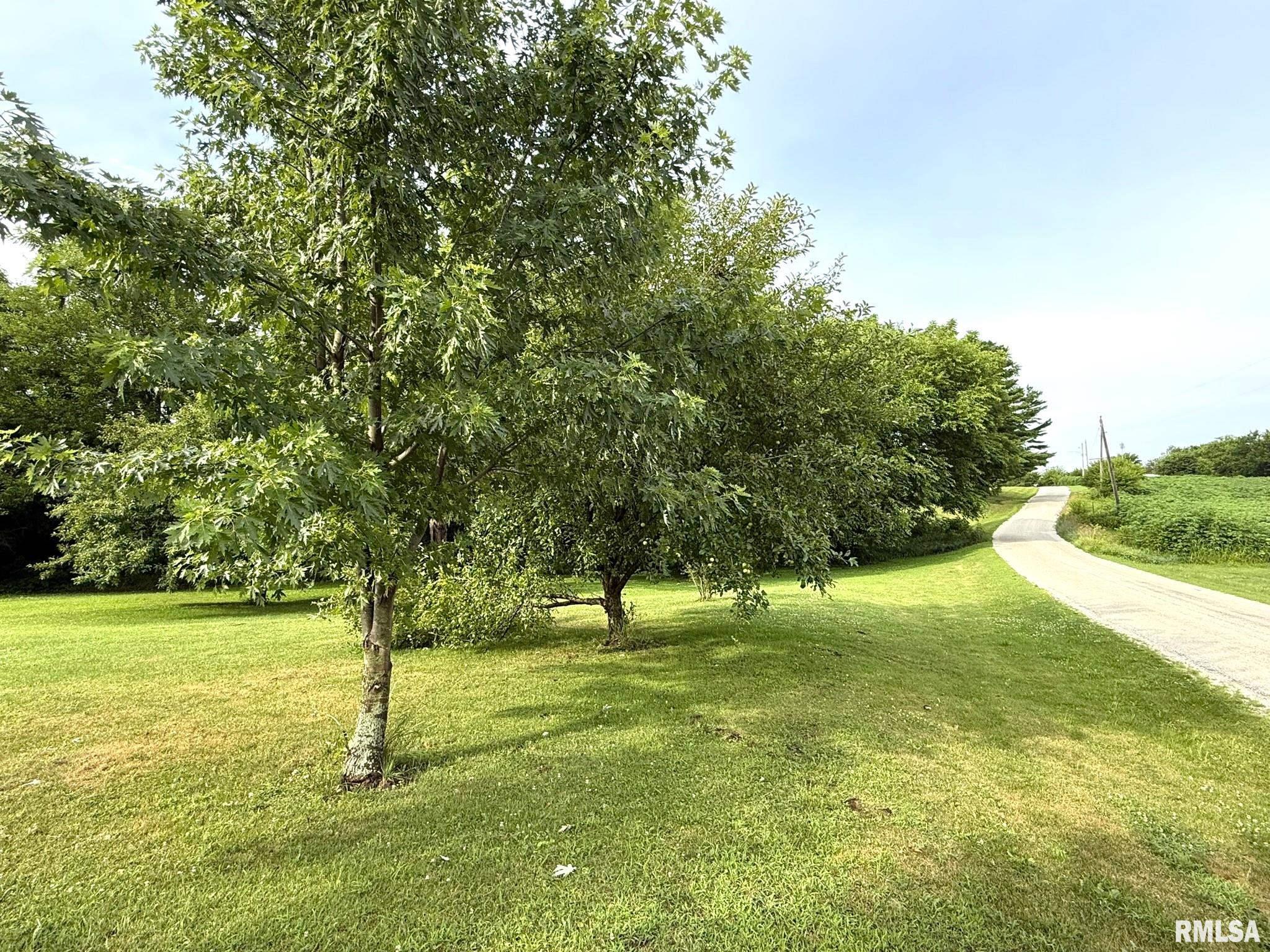 101 South Station Street Altona, IL 61414 - Photo 2 of 6