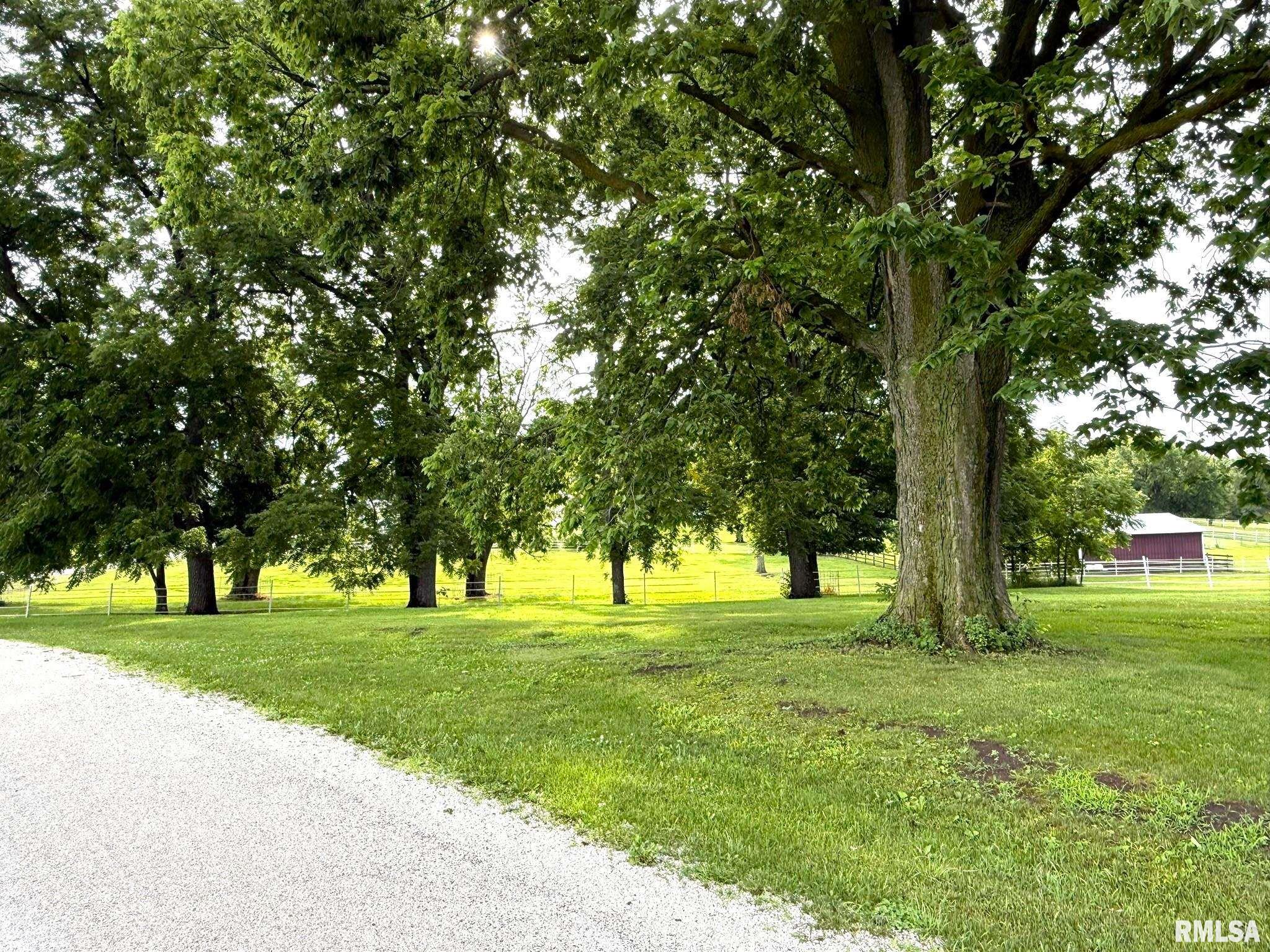 101 South Station Street Altona, IL 61414 - Photo 3 of 6