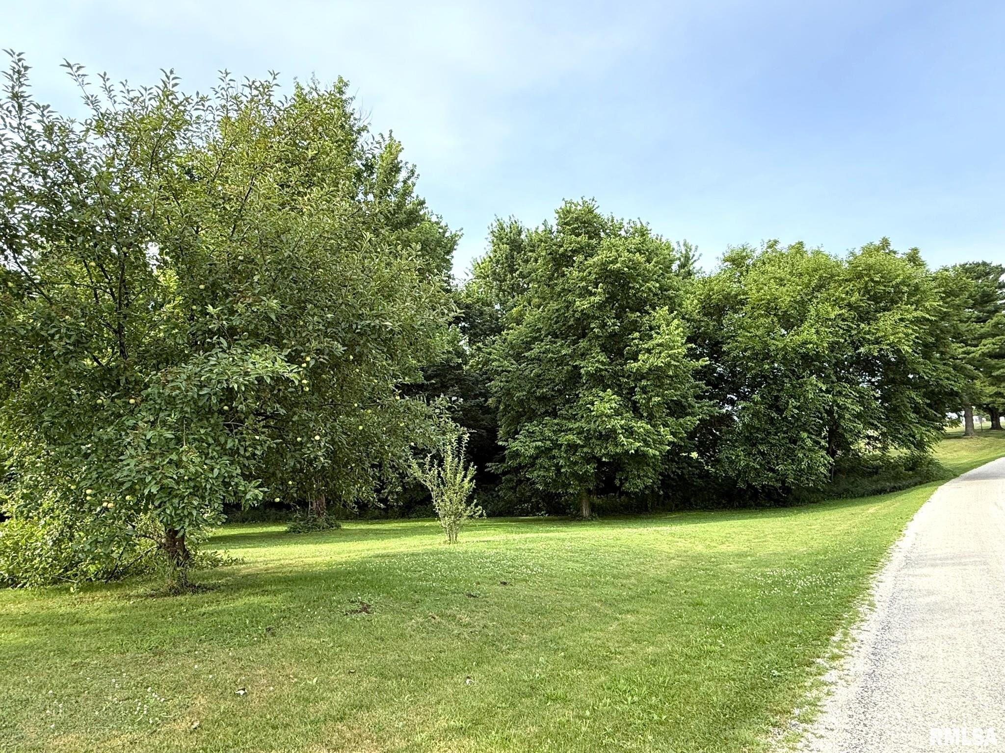 101 South Station Street Altona, IL 61414 - Photo 5 of 6