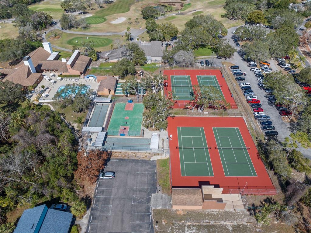 7514 Rocky Point Drive Hudson, FL 34667 - Photo 36 of 38