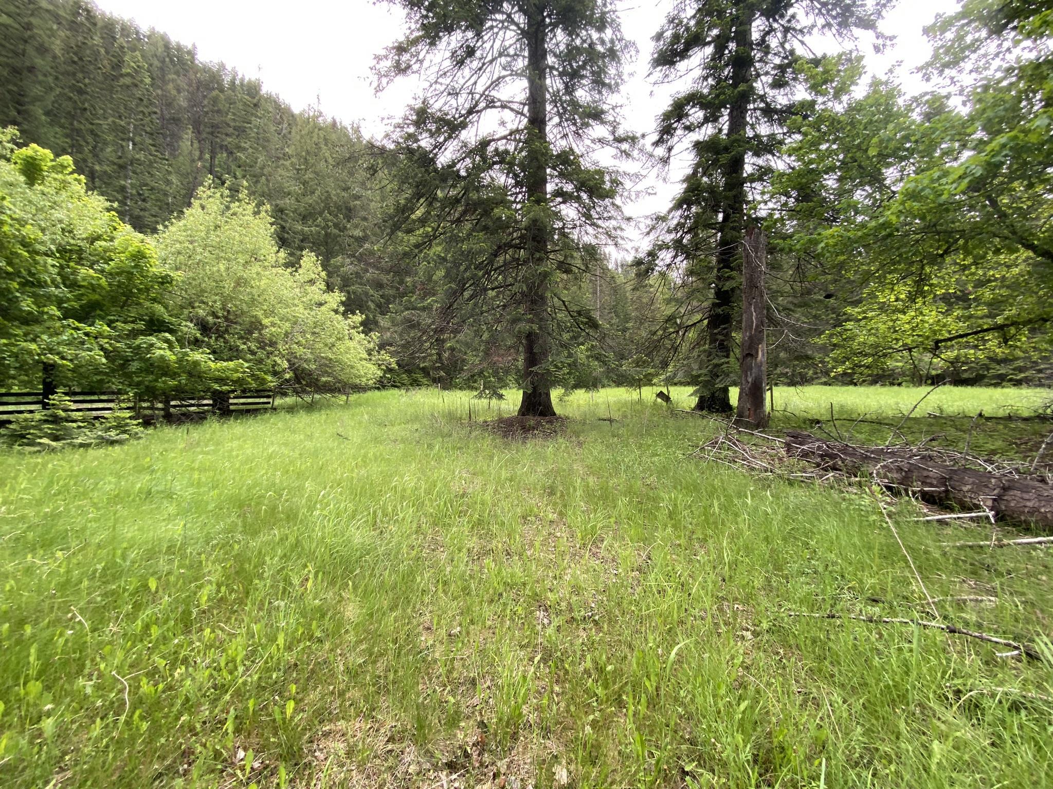 13-xx Aladdin Road Colville, WA 99114 - Photo 21 of 30