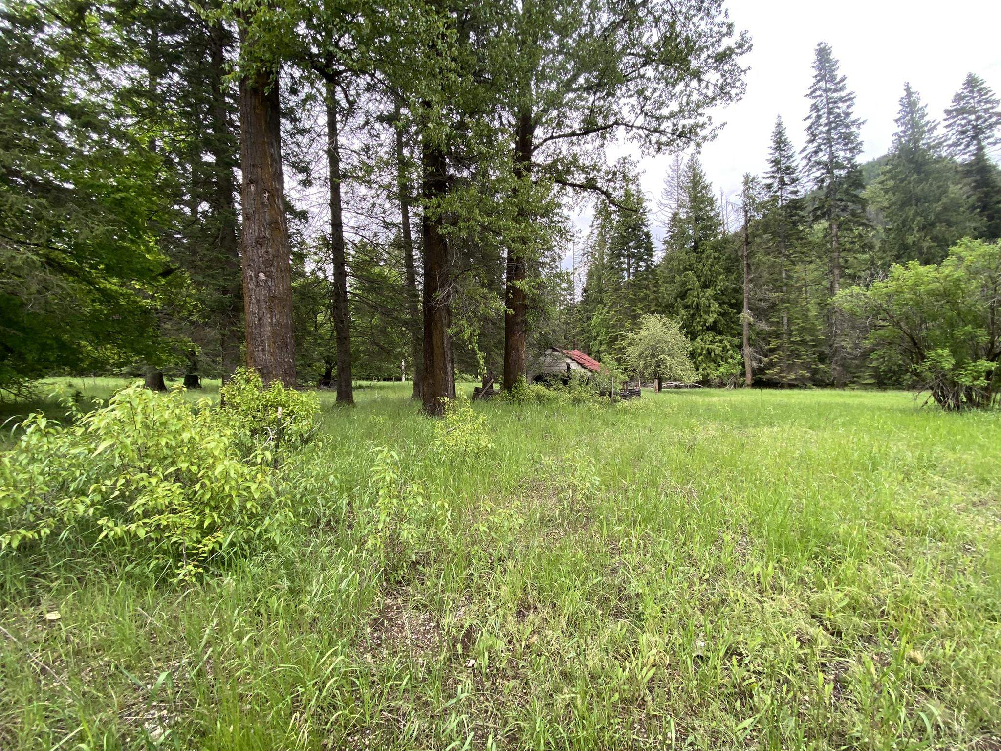 13-xx Aladdin Road Colville, WA 99114 - Photo 29 of 30