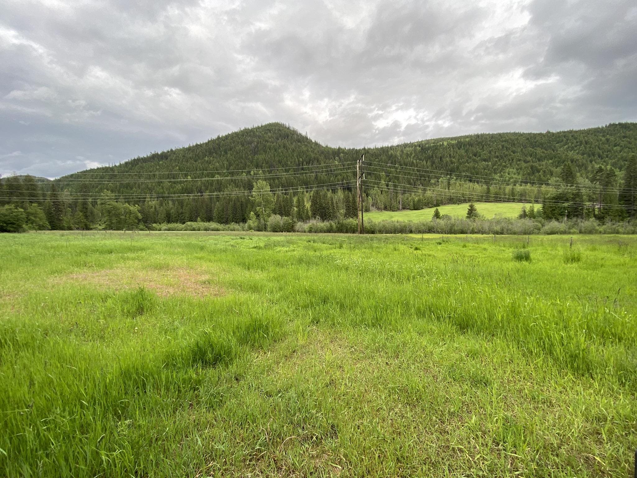13-xx Aladdin Road Colville, WA 99114 - Photo 4 of 30