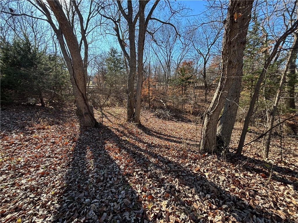 1116 208th Street Fort Scott, KS 66701 - Photo 6 of 22