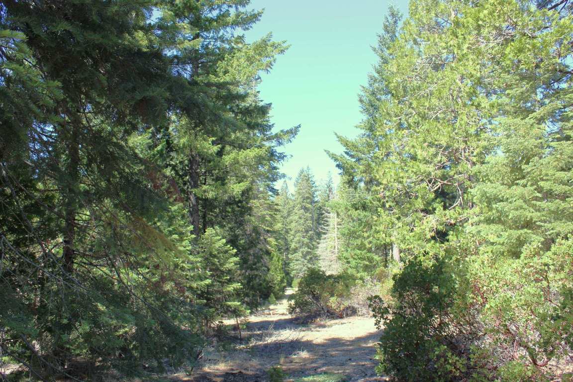 Lot 41 Skyview Road Mount Shasta, CA 96067 - Photo 2 of 14 Gallery Image 2