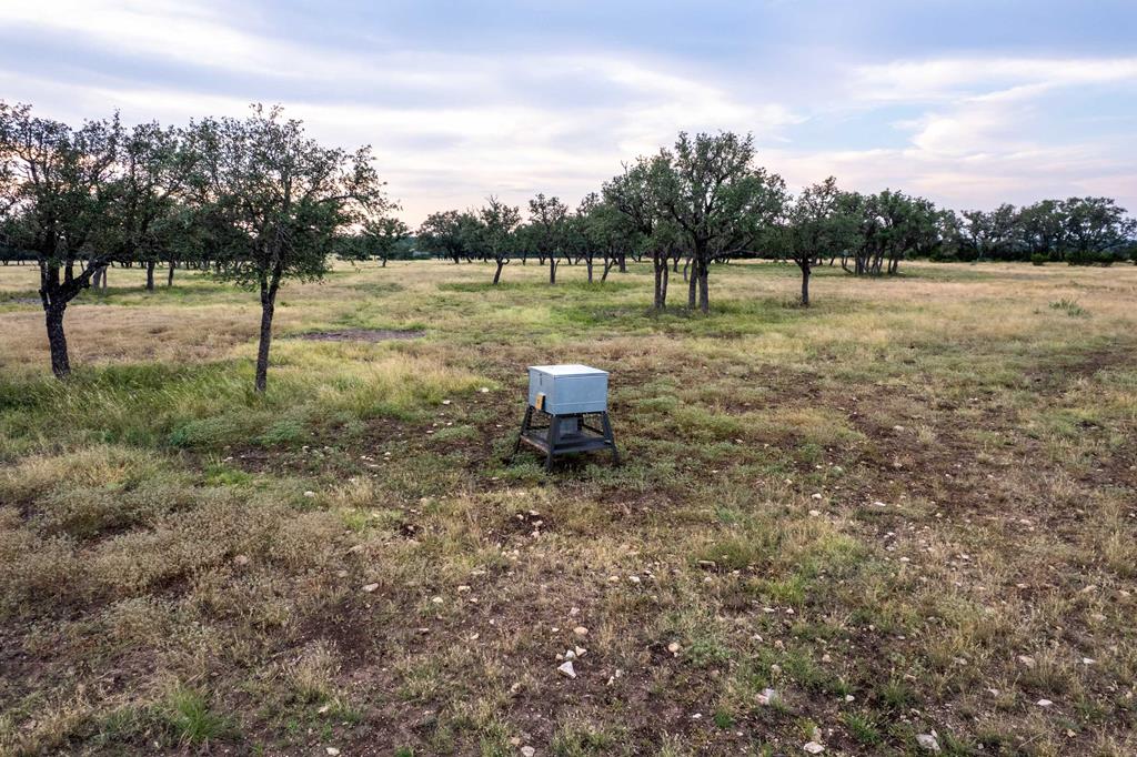 Undisclosed Address Rocksprings, TX 78880 - Photo 17 of 50