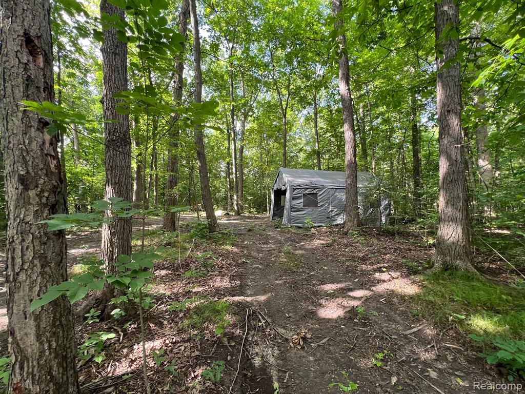 0 North Hadley Road Ortonville, MI 48462 - Photo 3 of 13