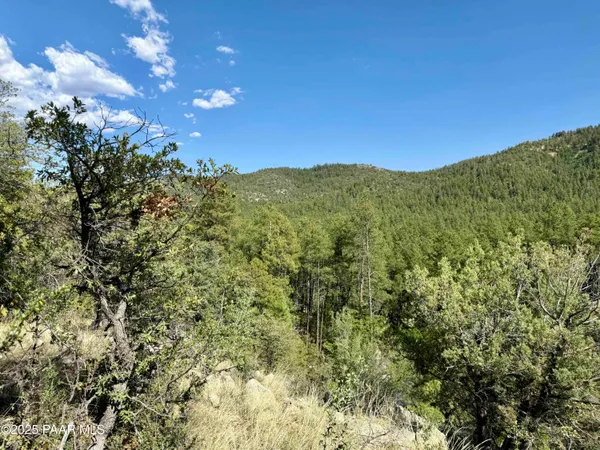 a view of a large building with a mountain in the background
