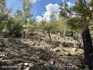 5980 A Old Walker Road Prescott, AZ 86303 - Photo 13 of 24 a view of a covered with large trees