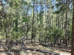 5980 A Old Walker Road Prescott, AZ 86303 - Photo 14 of 24 a view of a forest with large trees