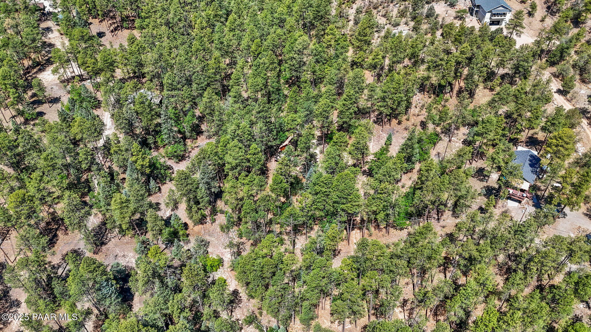 5980 A Old Walker Road Prescott, AZ 86303 - Photo 15 of 24 a view of a lush green forest with a tree