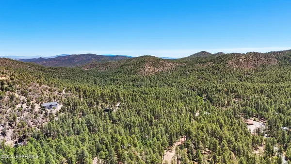 a view of a mountain range with a lush green forest