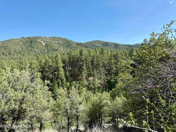 a view of a mountain