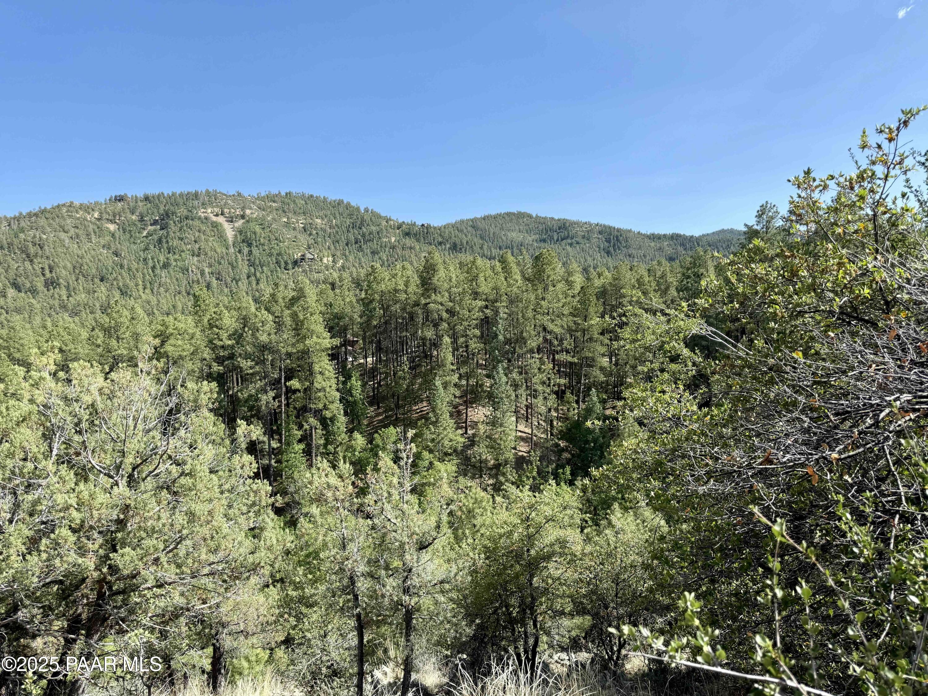 5980 A Old Walker Road Prescott, AZ 86303 - Photo 2 of 24 a view of a mountain