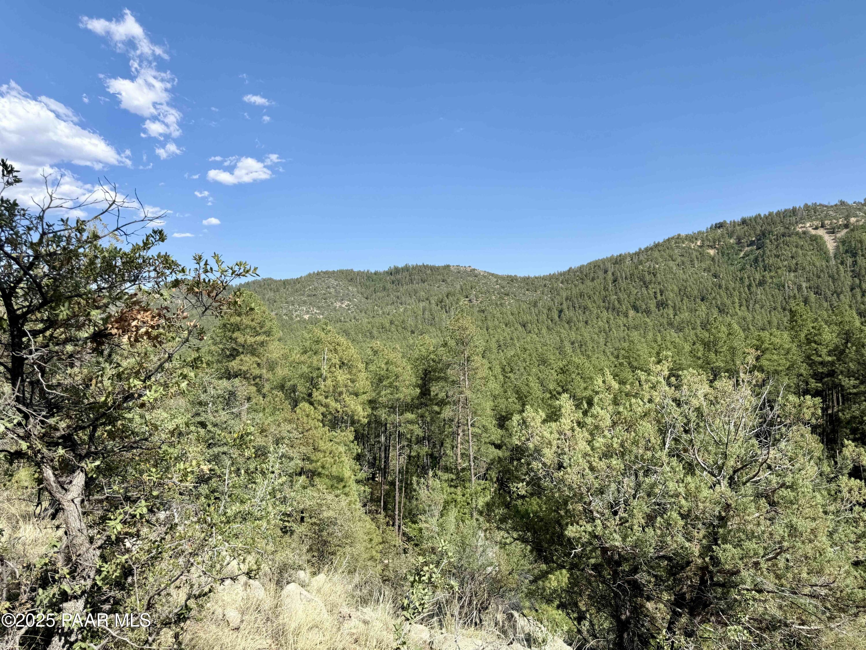 5980 A Old Walker Road Prescott, AZ 86303 - Photo 3 of 24 a view of a field