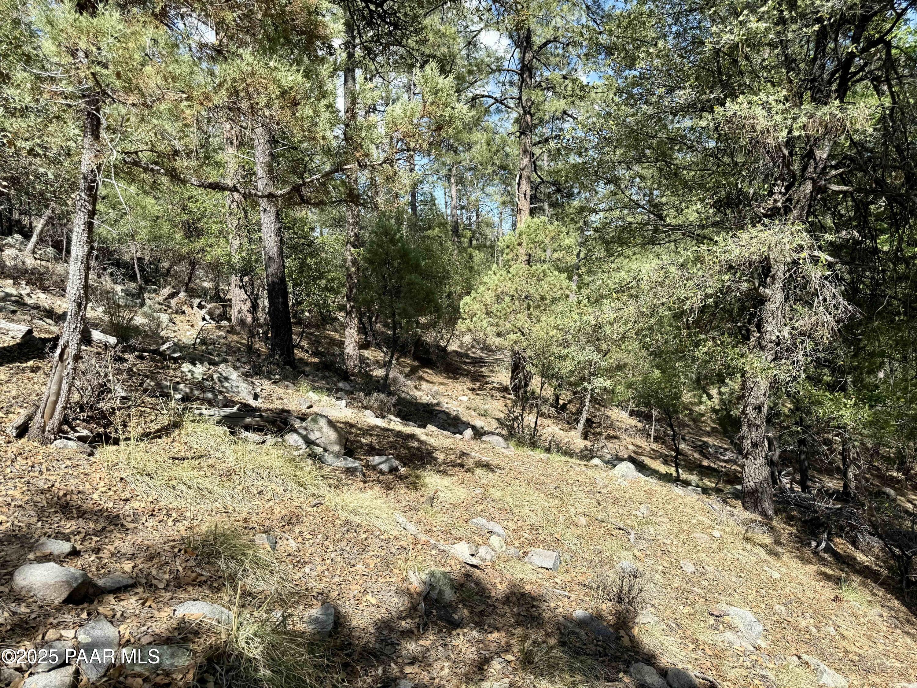 5980 A Old Walker Road Prescott, AZ 86303 - Photo 6 of 24 a view of a yard with a tree