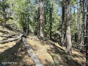 5980 A Old Walker Road Prescott, AZ 86303 - Photo 7 of 24 a view of a forest with trees
