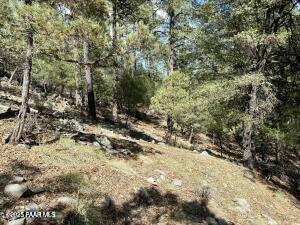 5980 A Old Walker Road Prescott, AZ 86303 - Photo 8 of 24 a view of a yard with a tree