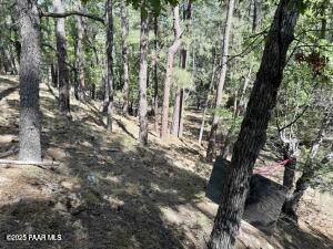 5980 A Old Walker Road Prescott, AZ 86303 - Photo 10 of 24 a view of a yard with large trees