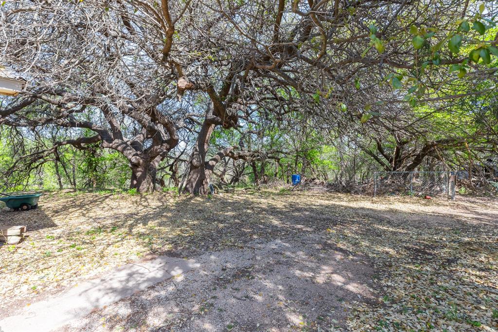 749 Cedar Street Buffalo Gap, TX 79508 - Photo 23 of 30 a view of a yard with a tree