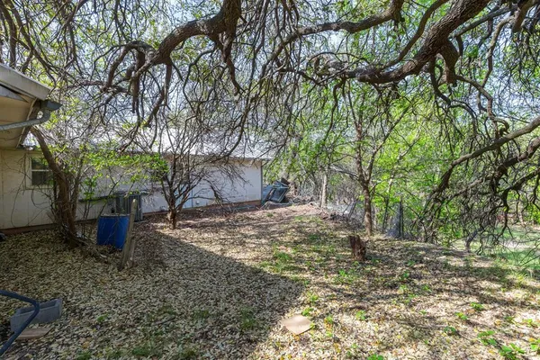 a view of a backyard with large trees