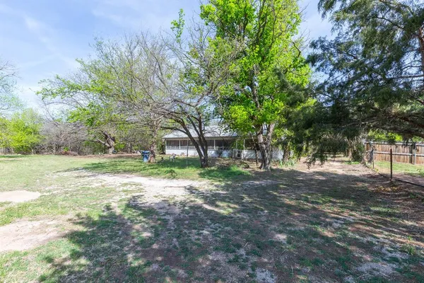 a view of a tree in the middle of a yard