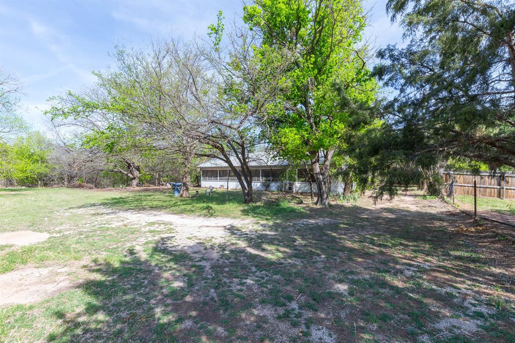 749 Cedar Street Buffalo Gap, TX 79508 - Photo 25 of 30 a view of a tree in the middle of a yard