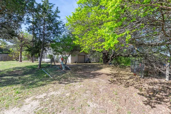 a view of a yard with plants and trees