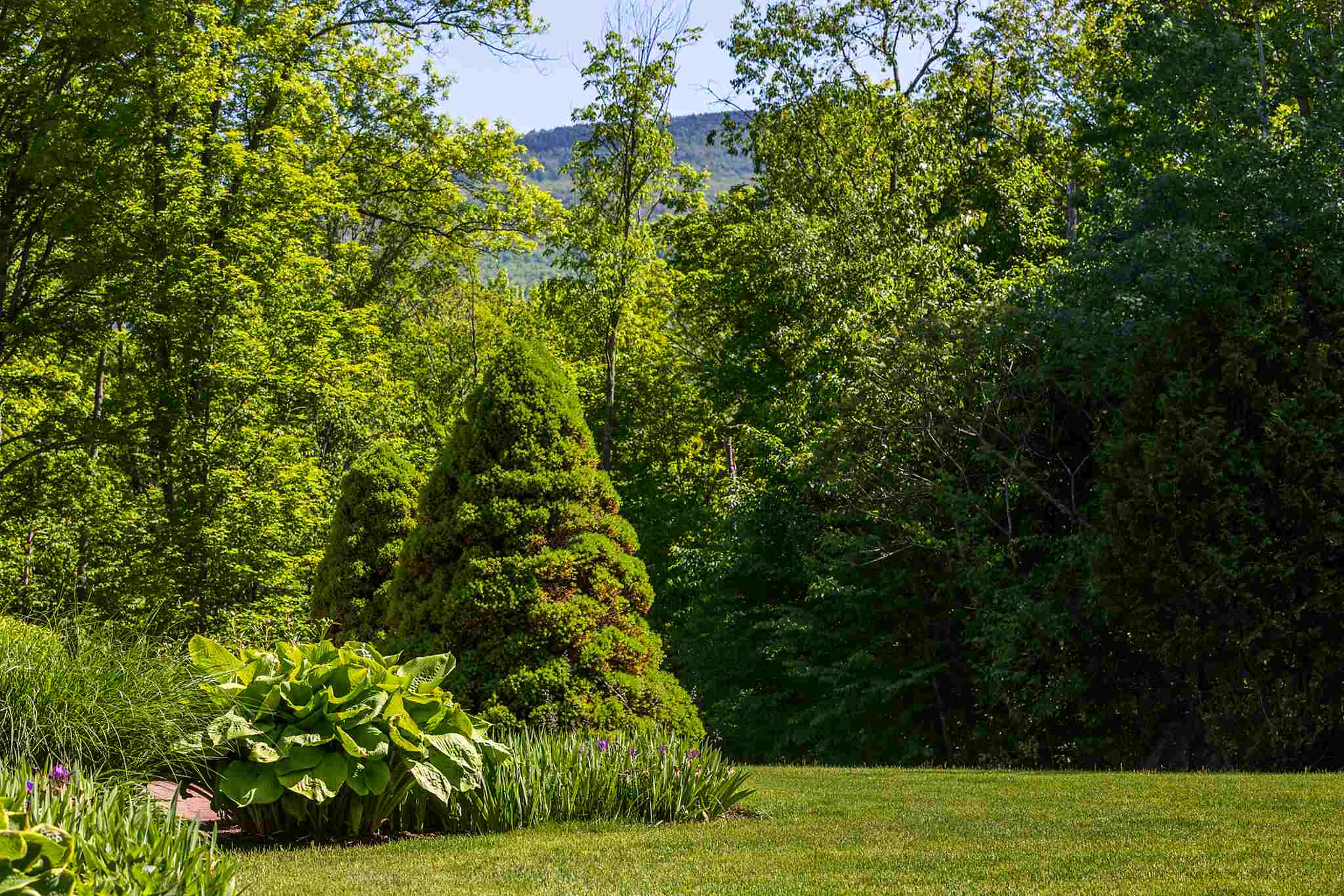 3297 W Road Manchester, VT 05255 - Photo 30 of 37 Gallery Image 30