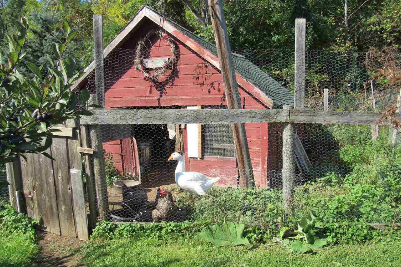 1036 Morgan Road Salisbury, VT 05769 - Photo 4 of 39