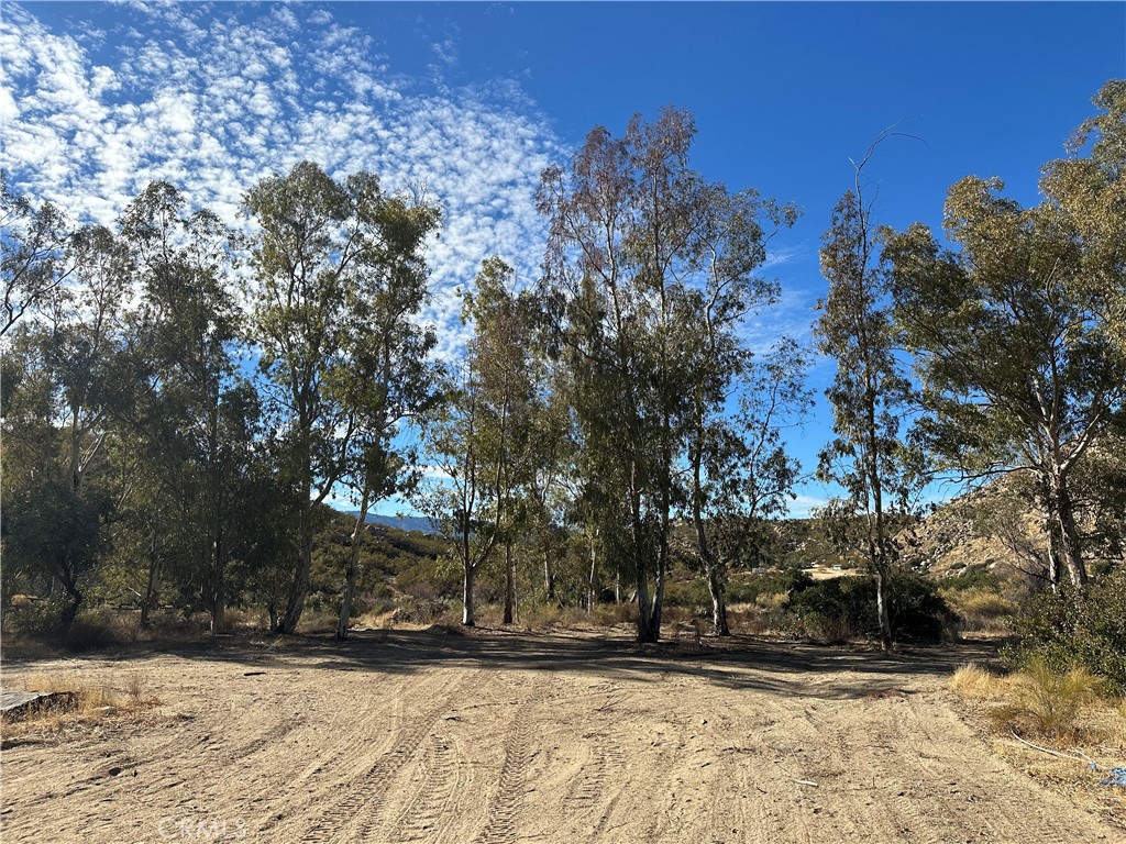 48610 Secret Falls Road Aguanga, CA 92536 - Photo 5 of 10 a view of outdoor space yard and trees