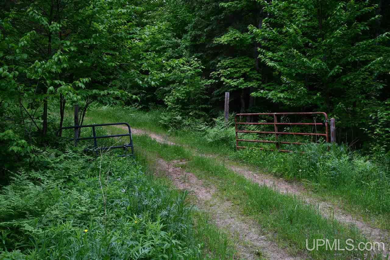 Tbd Mud Lake Road Lake Linden, MI 49945 - Photo 4 of 28