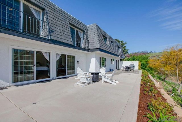 a view of a plant in a garden