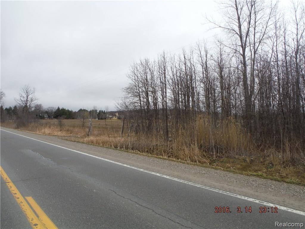 99999 Kilgore Road Avoca, MI 48006 - Photo 3 of 4